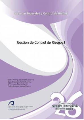 Gestión del Control de Riesgos I