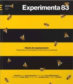 Diseño de organizaciones. Experimenta 83