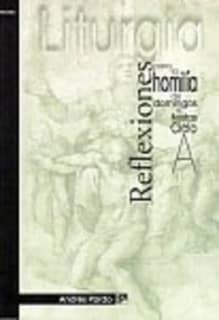 Reflexiones para la homilía ciclo a