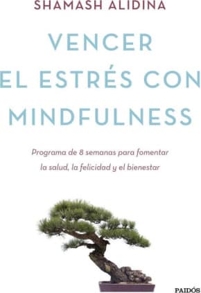 Vencer el estrés con mindfulness