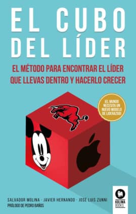 EL CUBO DEL LIDER