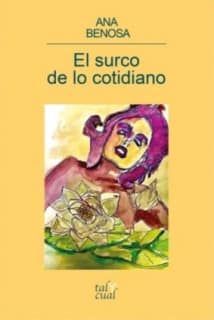 El surco de lo cotidiano