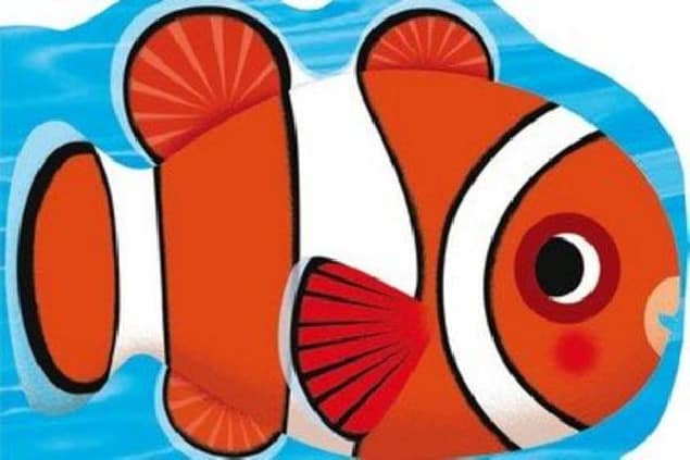 Pez payaso. Mini-animales