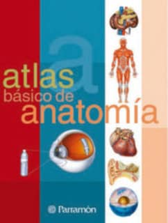 ATLAS DE ANATOMIA