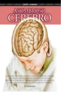 Asombroso cerebro