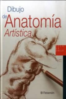 Dibujo de Anatomía Artística
