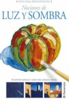 Guía para principiantes nociones de luz y sombra