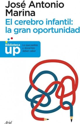 El cerebro infantil: la gran oportunidad