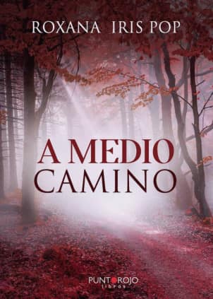 A MEDIO CAMINO
