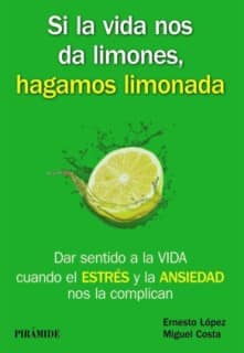 SI LA VIDA NOS DA LIMONES, HAGAMOS LIMON