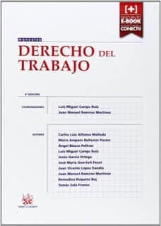 Derecho del Trabajo 4ª Edición 2014