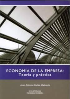 Economía de la empresa: teoría y práctica