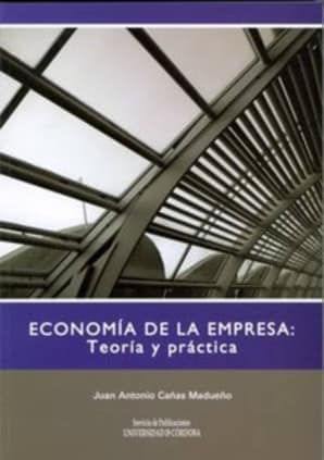 Economía de la empresa: teoría y práctica