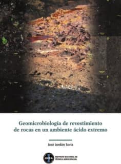 Geomicrobiología de revestimientos de rocas en un ambiente ácido extremo