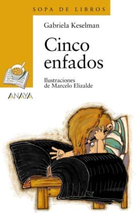 CINCO ENFADOS - SOPA LIBROS AMAR. 60