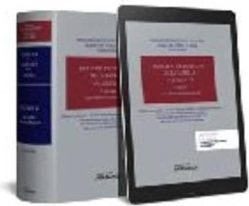 Tratado de Derecho de la Familia (Volumen VI) (Papel + e-book)