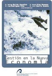 Gestión de la Nueva Economí­a