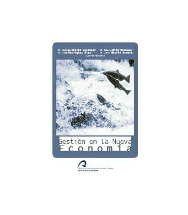 Gestión de la Nueva Economí­a