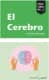 El Cerebro