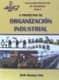 CINCO PROYECTOS DE ORGANIZACION INDUSTRIAL
