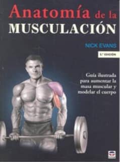 ANATOMÍA DE LA MUSCULACIÓN