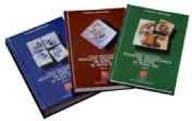 Cerámica arquitectónica : los azulejos valencianos de serie : El siglo XIX : tomos I, II Y III