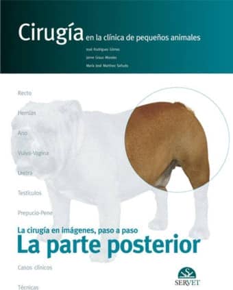 Cirugía en la clínica de pequeños animales. La parte posterior