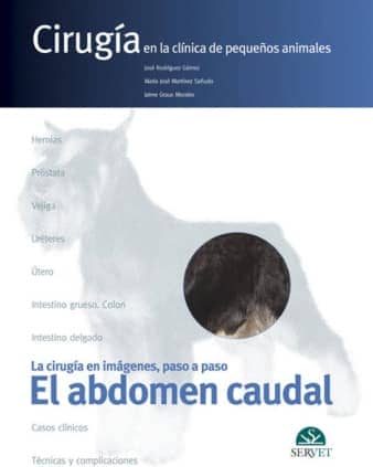 Cirugía en la clínica de pequeños animales. El abdomen caudal