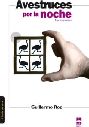 Avestruces por la noche