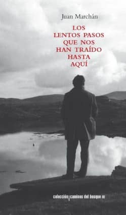 Los lentos pasos que nos han traído hasta aquí