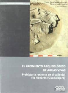 El yacimiento arqueológico de Aguas Vivas