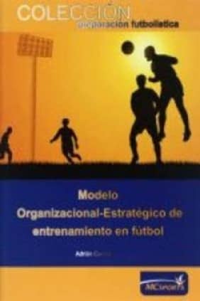 MODELO ORGANIZACIONAL ESTRATEGICO DE ENT