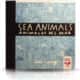 Sea Animals/Animales del mar