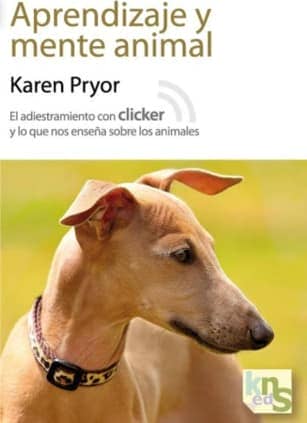 Aprendizaje y mente animal