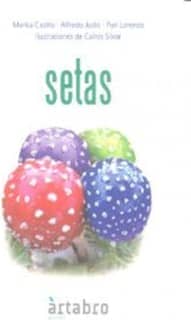 Setas