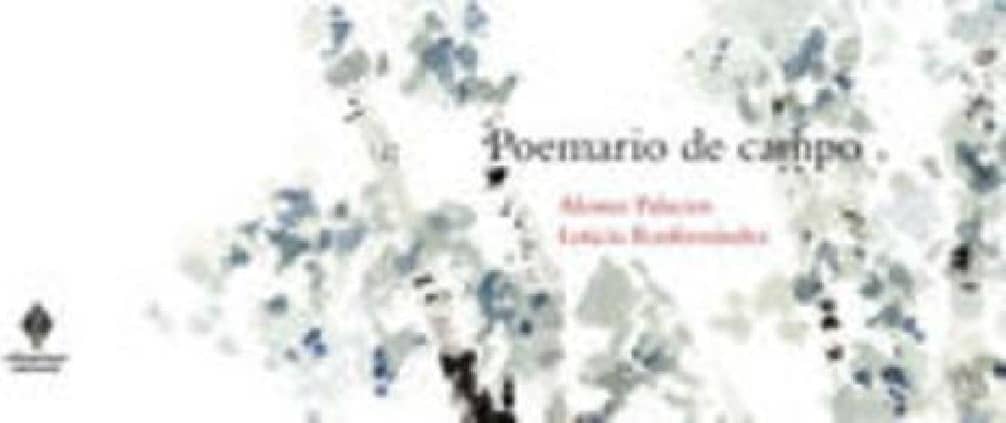 Motivación de la actividad física en primaria