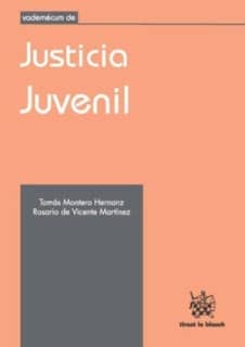 Vademécum de Justicia Juvenil