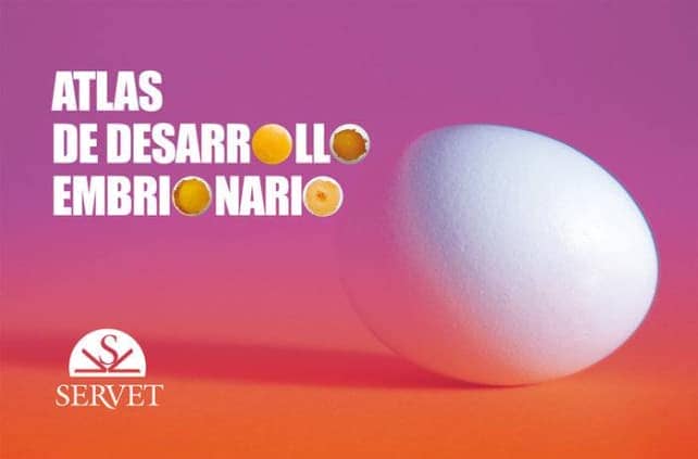 Atlas de desarrollo embrionario