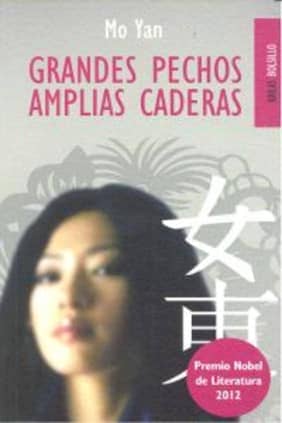 Grandes pechos amplias caderas (bolsillo)