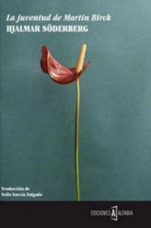 La juventud de Martin Birck