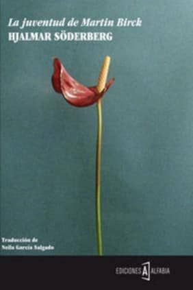 La juventud de Martin Birck