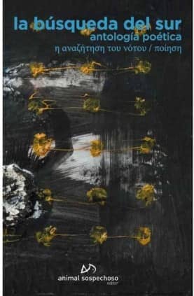 La búsqueda del Sur