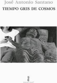 Tiempo gris de cosmos