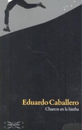 CHARCOS EN AL TIERRA