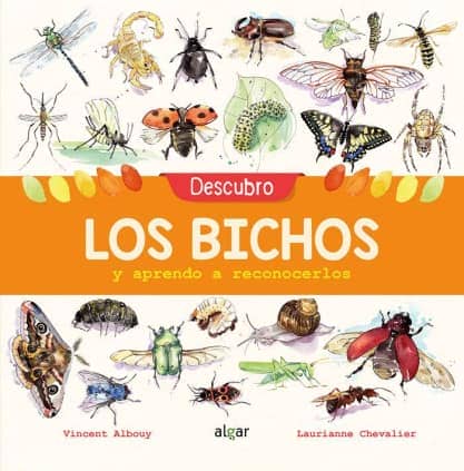 DESCUBRO LOS BICHOS Y APRENDO A RECONOCE