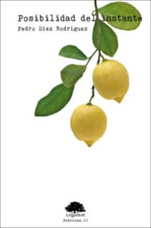 Posibilidad del instante