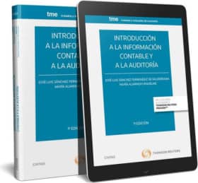 Introducción a la información contable y a la auditoría (Papel + e-book)