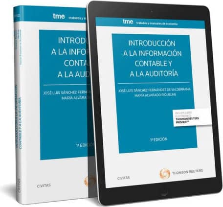 Introducción a la información contable y a la auditoría (Papel + e-book)