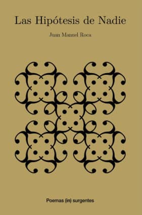 LAS HIPÓTESIS DE NADIE