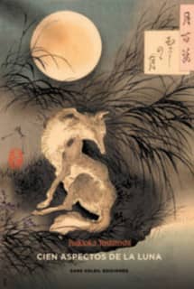 Cien aspectos de la luna